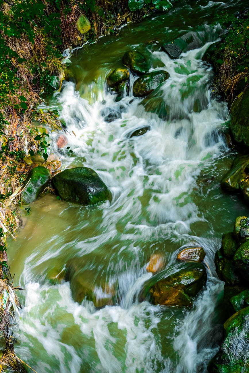Vibrant waterfall surrounded by greenery in Taipei City, Taiwan, captured in daylight.